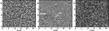 \begin{figure}
\center
\par\includegraphics[width=14cm]{0448fig12.eps}
\end{figure}