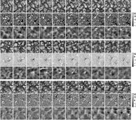 \begin{figure}
\center
\includegraphics[width=16cm,clip]{0448fig13.ps}
\end{figure}