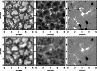 \begin{figure}
\par\includegraphics[width=8.9cm]{0448fig16.eps}\par\includegraphics[width=8.9cm]{0448fig17.eps}
\end{figure}