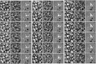 \begin{figure}
\par\includegraphics[width=18cm,clip]{0448fig19.ps}
\end{figure}