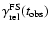 $\gamma_{\rm rel}^{\rm FS}(t_{\rm obs})$