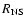 $R_{\rm NS}$