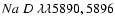 $Na~D~\lambda\lambda5890,5896$