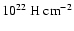 $10^{22}~{\rm H~cm}^{-2}$
