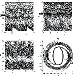 \begin{figure}
\par\includegraphics[width=13cm,clip]{0149fig08.eps}
\end{figure}
