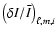 $\left ( { {\delta I} / \bar{I} } \right )_{\ell,m,i}$