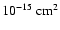 $10^{-15}~\rm {cm}^{2}$