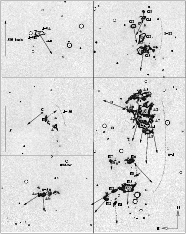 \begin{figure}
\par\includegraphics[width=16.3cm,clip]{1096pm4.eps}
\par\end{figure}