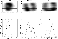 \begin{figure}
\par\includegraphics[width=17cm,clip]{1185fig1-NEW.eps}
\end{figure}