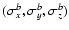$(\sigma_x^b, \sigma_y^b, \sigma_z^b)$
