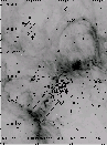 \begin{figure}
\par\includegraphics[width=8.5cm,clip]{0671Fig6.ps}
\end{figure}