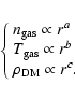 \begin{displaymath}\left\{ \begin{array}{l}
n_{\rm gas} \propto r^a \\
T_{\rm gas} \propto r^b \\
\rho_{\rm DM} \propto r^c.
\end{array}\right.
\end{displaymath}