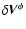 $\delta \vec{V}^\phi$