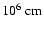 $10^6~{\rm cm}$