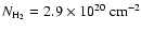 $N_{{\rm H}_2}=2.9 \times 10^{20}~{\rm cm}^{-2}$