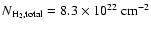 $N_{{\rm H}_2, {\rm total}}=8.3 \times 10^{22}~{\rm cm}^{-2}$