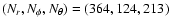 $(N_r,N_{\phi},N_{\theta})=(364,124,213)$