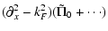 $\displaystyle (\partial_x^2 - k_F^2)(\tilde\Pi_0 + \cdots)$