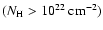 $(N_{\rm H} > 10^{22}~{\rm cm}^{-2})$