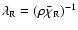 $\lambda_{\rm R}=(\rho\bar{\chi}_{\rm R})^{-1}$