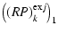 $\displaystyle \left((RP)^{{\rm ex}j}_k\right)_1$