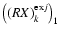 $\left((RX)^{{\rm ex}j}_k\right)_1$