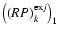 $\left((RP)^{{\rm ex}j}_k\right)_1$