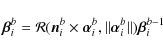 \begin{displaymath}%
\vec{\beta}_{i}^{b}={\cal R}(\vec{n}_{i}^{b}\times\vec{\alpha}_{i}^{b},\Vert\vec{\alpha}_{i}^{b}\Vert)\vec{\beta}_{i}^{b-1}
\end{displaymath}