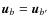 $\vec{u}_{b}=\vec{u}_{b'}$
