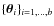 $\{\vec{\theta}_i\}_{i=1, \ldots, b}$