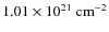 $1.01 \times 10^{21} {\rm ~cm^{-2}}$