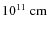 $10^{11}{\rm ~ cm}$