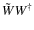 $\tilde{W} W^\dagger$