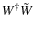 $W^\dagger \tilde{W}$