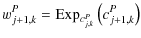 $\displaystyle w_{j+1,k}^P = {\rm Exp}_{c_{j,k}^P} \left(c_{j+1,k}^P\right)$