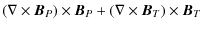 $\displaystyle (\nabla\times{\vec B_{P}})\times {\vec B}_{P}+(\nabla\times{\vec B_{T}})\times {\vec B}_{T}$