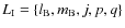 $L_{\rm I}=\left\{l_{\rm B},m_{\rm B},j,p,q\right\}$