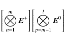 \begin{displaymath}\left\lbrack\bigotimes_{n=1}^m\vec{E}^+\right\rbrack\left\lbrack\bigotimes_{p=m+1}^l\vec{E}^0\right\rbrack
\end{displaymath}