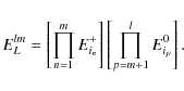\begin{displaymath}E_L^{lm}=\left\lbrack\prod_{n=1}^{m}E^+_{i_n}\right\rbrack \left\lbrack \prod_{p=m+1}^{l}E^0_{i_p} \right\rbrack .
\end{displaymath}