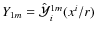 $Y_{1m}=\hat{\cal Y}_{i}^{1m}(x^i/r)$