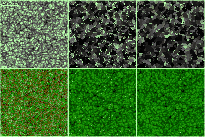 \begin{figure}
\par\includegraphics[width=18cm,clip]{0867fig3.eps}
\end{figure}