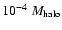 $10^{-4}~M_{\rm halo}$