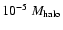$10^{-5}~M_{\rm halo}$