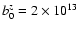 $b_0^z = 2
\times 10^{13}~$