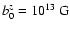 $b_0^z = 10^{13}~ {\rm G}$
