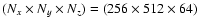 $(N_x\times N_y\times N_z)=(256\times 512\times 64)$