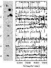 \begin{figure}
\par\includegraphics[width=15cm,clip]{0569-4d.eps} %\end{figure}