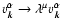 $v_{\vec{k}}^{\alpha }\rightarrow \lambda ^{\mu
}v_{\vec{k}}^{\alpha }$