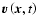 $\vec{v}\left( \vec{x},t\right) $