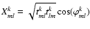 $X_{ml}^{k} =\sqrt{t_{ml}^{k}t_{lm}^{k}} \cos(\varphi_{ml}^{k})$